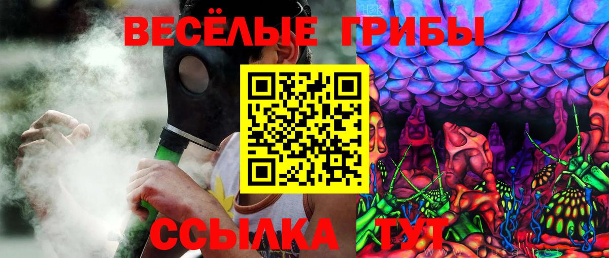 Псилоцибиновые грибы Psilocybe Лесозаводск
